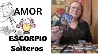 ESCORPIO SOLTEROS ⚘️ PROXIMO NUEVO AMOR ❤️ NOVIEMBRE 2024 💘 TAROT ❤️