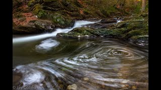 Connecticut Landscape Photography: Spruce Brook