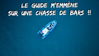 Le GUIDE de PÊCHE m'emmène sur une CHASSE de BARS ! Micro Coup du Soir avec Fish And Sea !