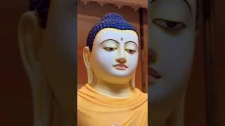 භාග්‍යවතුන් වහන්සේට මාගේ නමස්කාරය. Lord buddha #buddha #trending #shorts #panasara #traval #religion