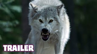 OUT COME THE WOLVES (2024) Official Trailer (HD) SURVIVAL HORROR