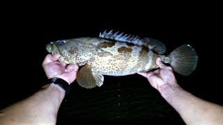 Night Fishing|Nakahuli ng Lapu-Lapu at Lipti|Shore Fishing Qatar