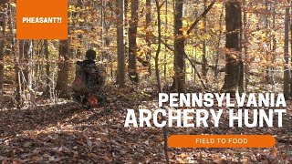 Pennsylvania PUBLIC LAND Bow Hunt