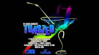 TOASTED RIDDIM MIX [RAW] SEPT 2013 TJ RECORDS @DJ-YOUNGBUD,KARTEL,AIDONIA.RDX,MASICKA,KONSHENS,&MORE