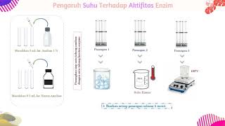 Praktikum Biokimia - Uji Enzim dan Antioksidan Vitamin C