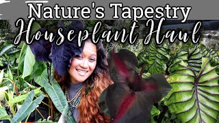 Rare, Uncommon Houseplant Haul from Natures Tapestry, Collective Plants & Aroids