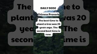 Daily Dose of Inspiration from #chineseproverbs #shorts #quotes #dailydose #inspiration