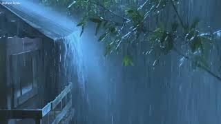 Beat Insomnia with Heavy Rain and Deep Thunder Sounds - Torrential Rain Sounds for Sleeping, Healing