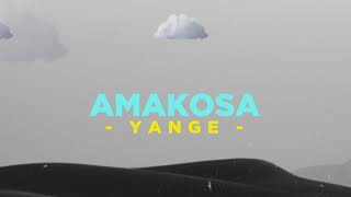 Bushali - Amakosa ft. Michael Makembe (lyrics) afro gako