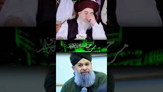 Milad un Nabi status 2024 #owaisrazaqadri #miladunnabi #shorts #islamic #shortvideo #ytshorts #2024