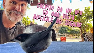 Colpito da un ufo ed una dieta difficile da seguire