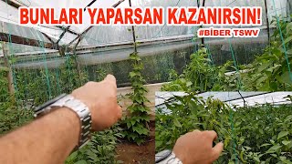 BİBERDE VİRÜSTEN AZ ETKİLENMEK VE VERİM İÇİN BUNLARI YAPIN-1 (99)