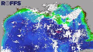 Gulf of Mexico Ocean Conditions Update - 7/25/2022