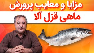 مزایا و معایب پرورش ماهی قزل آلا