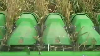 SuperCrop® Header - 12row - Millet Harvest