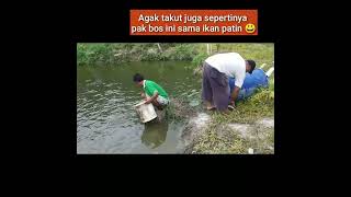 LUCU 😀 cara menangkap ikan patin di kolam  tanpa memancing