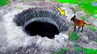 Dog Kept Barking At Massive Sinkhole In Backyard, Then It Leads To An AMAZING Discovery!