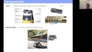 Thomas Humbert - FA 2020 - Loss compensation by flow in a corrugated resonant duct