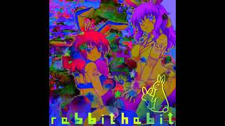 stykkr - R4BBIT H4BIT