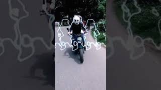 আমার শহরে আমি রাজা#AJ_Bike_Lover