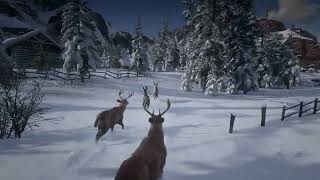 Herd Of Deer Walking Through Ambarino