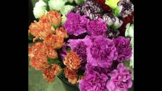 Processing Fresh Flowers at Petersen & Tietz Flower Shop