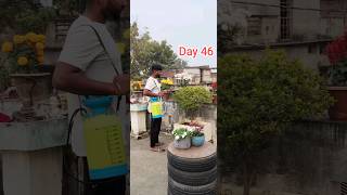 Day 46/75 hard challenge #desi #fitness #exercise #diet #viral #75hard #minivlog #ankitbaiyanpuriya