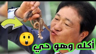 10 حقائق مدهشة لا تعرفها عن الأخطبوط ‼️😨