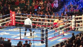 Mikey Garcia Vs Dejan Zlaticanin Full Highlights (Amazing KO)