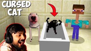 Minecraft meme Mutahar Laugh meme #22 CURSED CAT