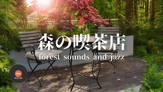 Ambient sounds + JAZZ Gentle Forest sounds Relaxing work/study CAFE MUSIC - BGM for work☕