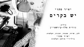 יש בקרים - יאיר סתוי (מילים: נורית פלד-קירשטיין, לחן: יאיר סתוי)