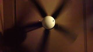 Ceiling Fans at Ground View (Part 6)