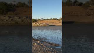 Al bayya Dam Manama Ajman