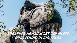 A Record-Breaking Find:  Most Complete Dinosaur in a Century Found on the Isle of Wight #fyp #dinos