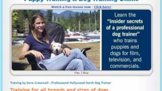 Dogs & Dog Training Explained - Easy Puppy Training