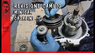 Revisione cambio minicar casalini rumoroso con perdite d`olio