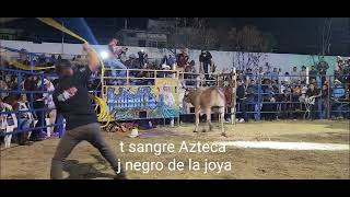 sangre azteca de destructores con negro de la joya  en tejalpa morelos  2023