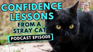 What I Learned About CONFIDENCE from a Stray Cat | Farmish Kind of Life podcast | Epi 285