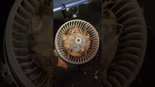 MAKING NOISE YOUR A/C AIR BLOWER #shortvideo #viralvideo #shorts #short