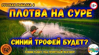 💥ПЛОТВА НА СУРЕ💥Синий трофей будет?💥Русская рыбалка 4💥 18+