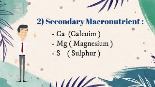 Song Of Ca, Mg & S | Plant Nutrient Element Function & Deficiency And Their Symptoms Part :- 2 .