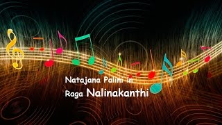 Natajana Palini in Raga Nalinakanthi | Ayamkudy Mani | Carnatic Songs