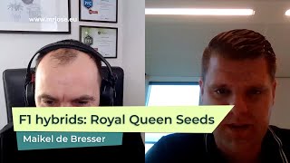 F1 hybrids: Interview with Maikel de Bresser about Royal Queen Seeds F1 hybrid line