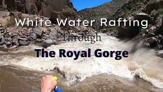 White Water Rafting Through The Royal Gorge