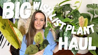 BIG Wish List Plant Haul & Unboxing | Grow Tropicals | 7 Plants and Eco-Friendly Moss Pole