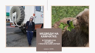 260.Мое знакомство с МЕДВЕДЯМИ + трагические случаи 2019