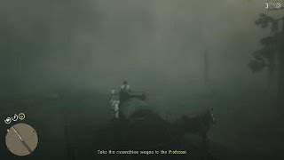 So Much Fog - RDR2