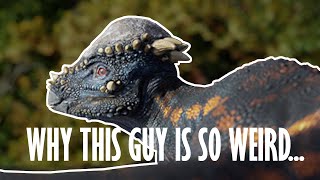 Pachycephalosaurus | Why this partly MEAT eating dinosaur is so strange