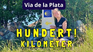 #42 100km bis SANTIAGO de Compostela - WEGMARKE erreicht! ||Via de la Plata - JAKOBSWEG pilgern